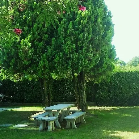 Sayonara Апартаменты *